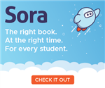 Sora website